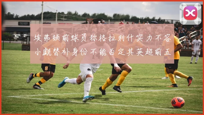 埃弗顿前球员称格拉利什实力不容小觑替补身份不能否定其英超前五地位