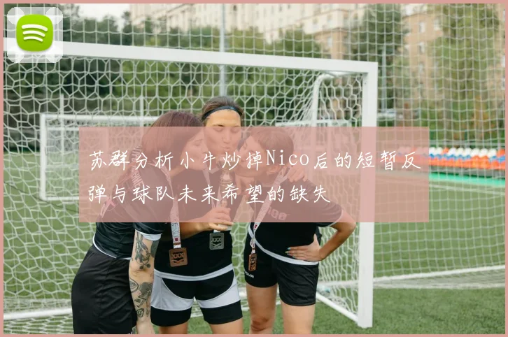 苏群分析小牛炒掉Nico后的短暂反弹与球队未来希望的缺失