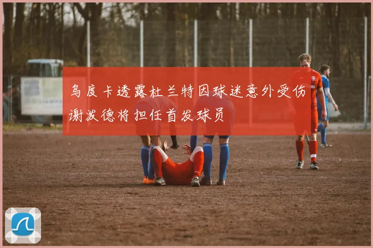 乌度卡透露杜兰特因球迷意外受伤谢泼德将担任首发球员
