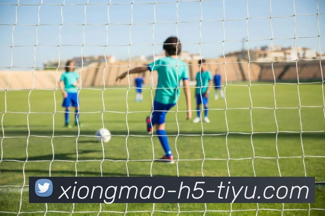 电竞数据